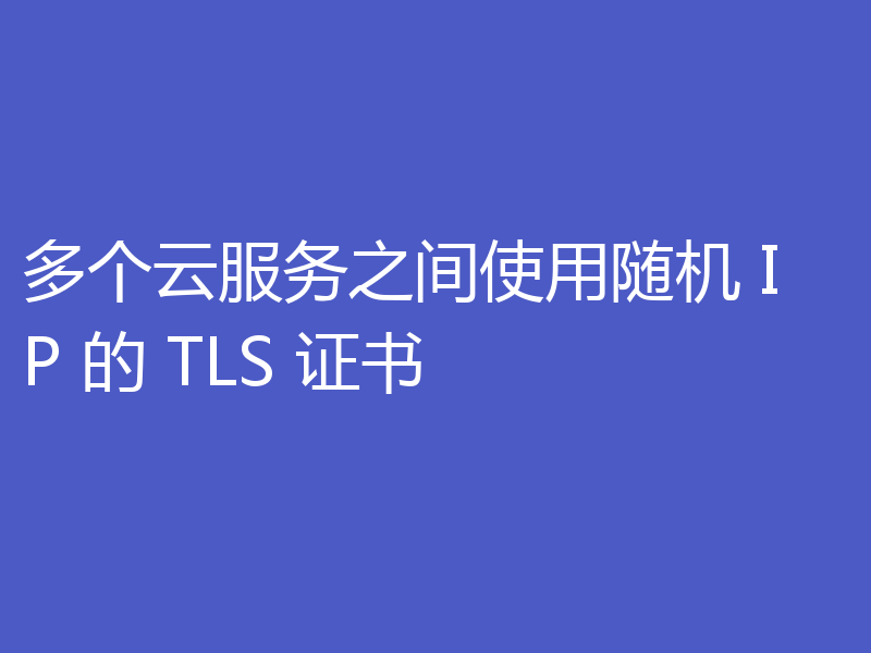 多个云服务之间使用随机 IP 的 TLS 证书