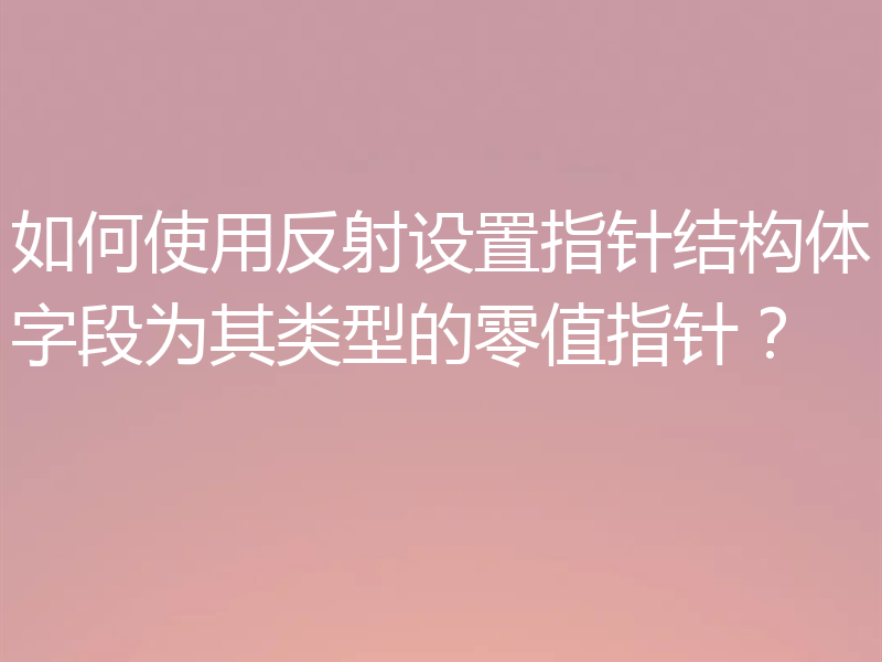 如何使用反射设置指针结构体字段为其类型的零值指针？