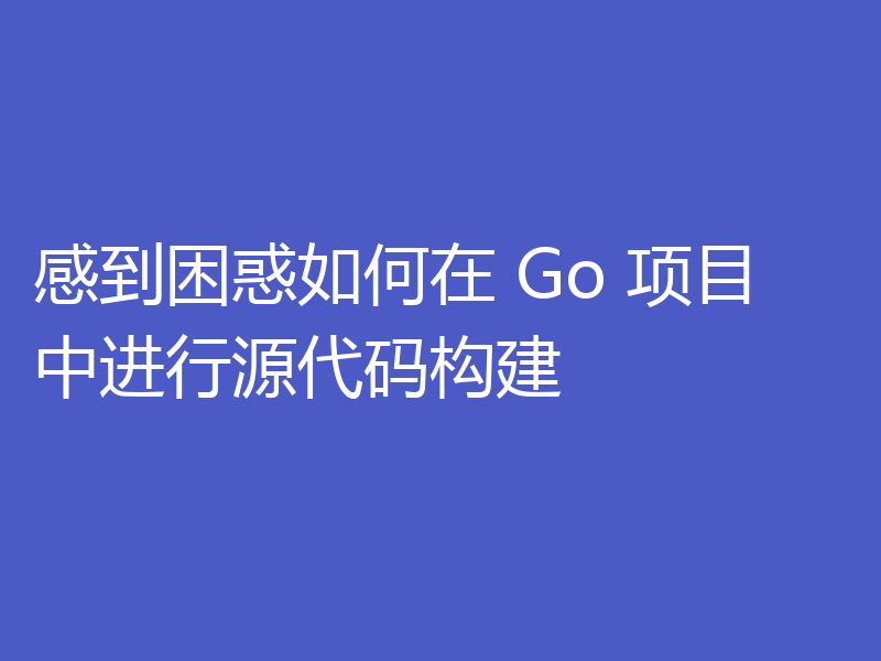 感到困惑如何在 Go 项目中进行源代码构建