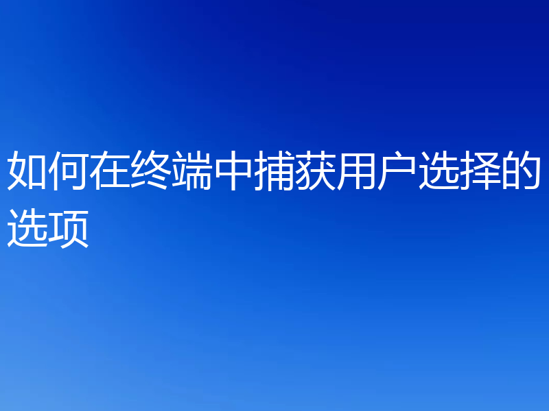 如何在终端中捕获用户选择的选项