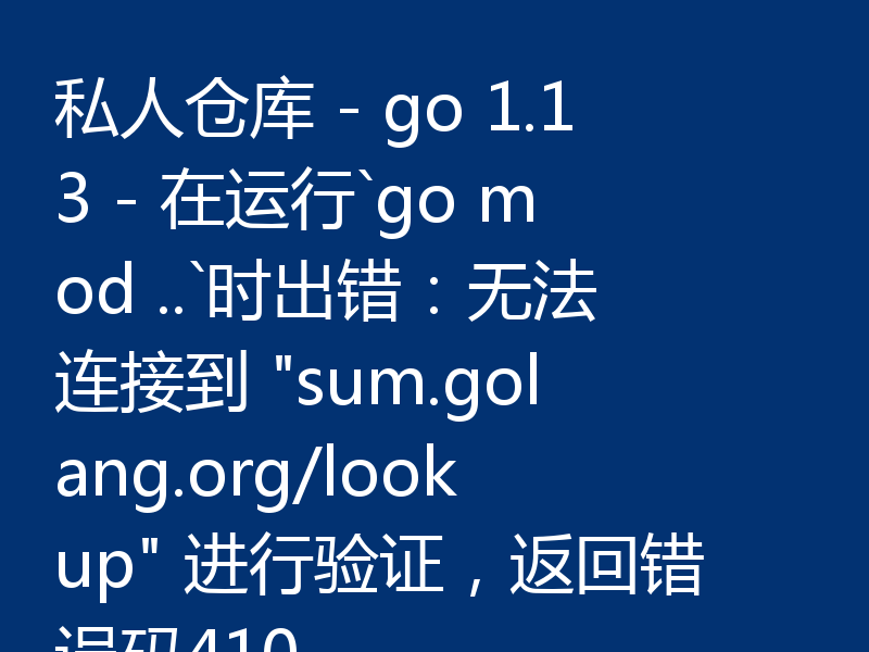 私人仓库 - go 1.13 - 在运行`go mod ..`时出错：无法连接到 