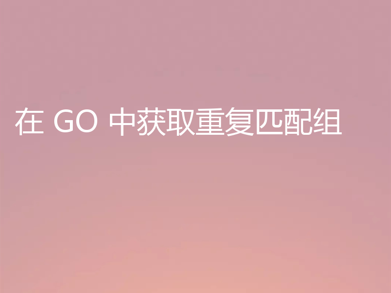 在 GO 中获取重复匹配组