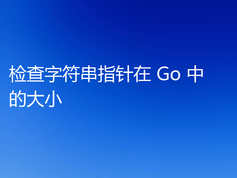 检查字符串指针在 Go 中的大小