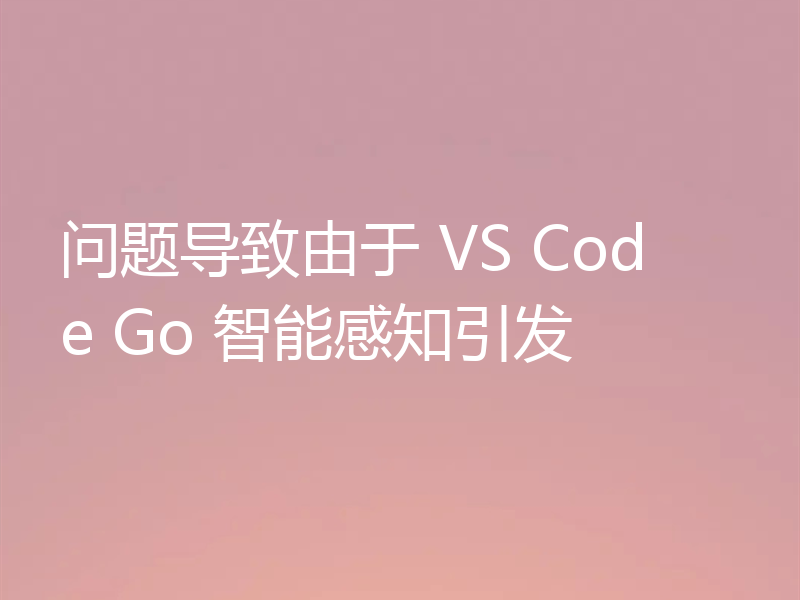问题导致由于 VS Code Go 智能感知引发