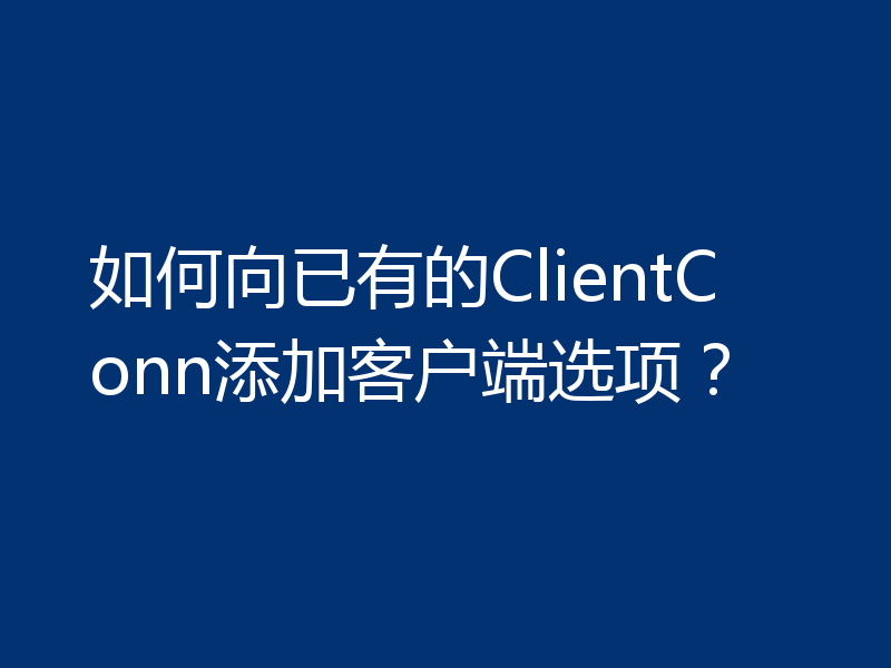 如何向已有的ClientConn添加客户端选项？