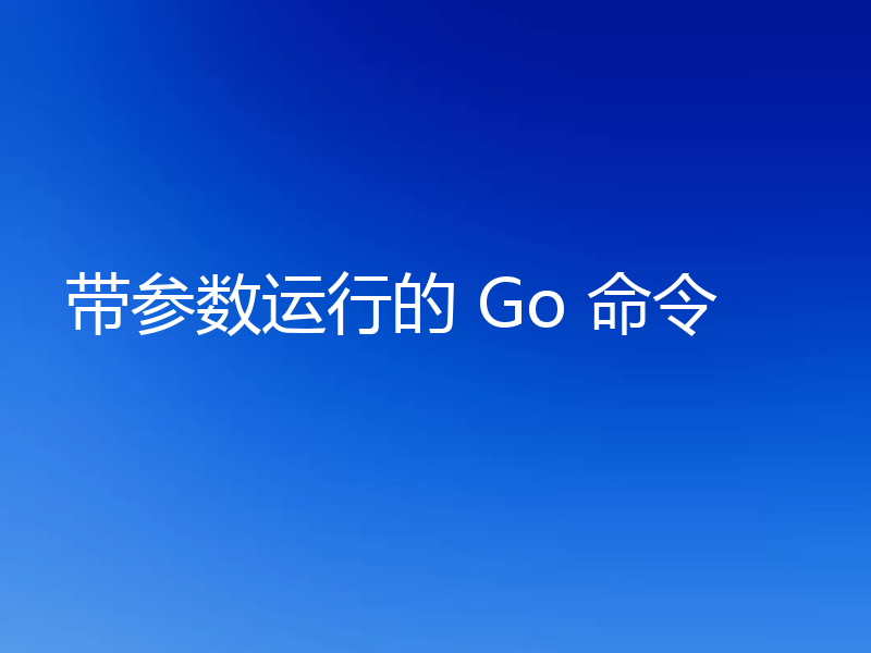 带参数运行的 Go 命令