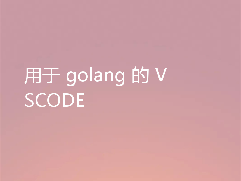 用于 golang 的 VSCODE