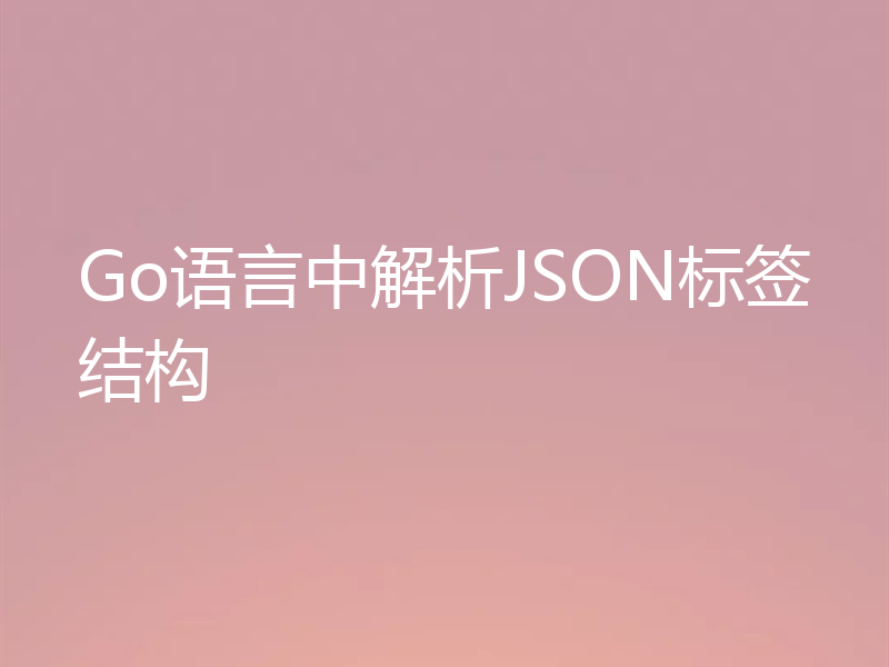 Go语言中解析JSON标签结构