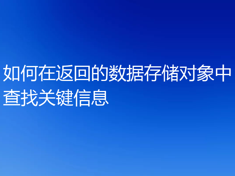 如何在返回的数据存储对象中查找关键信息