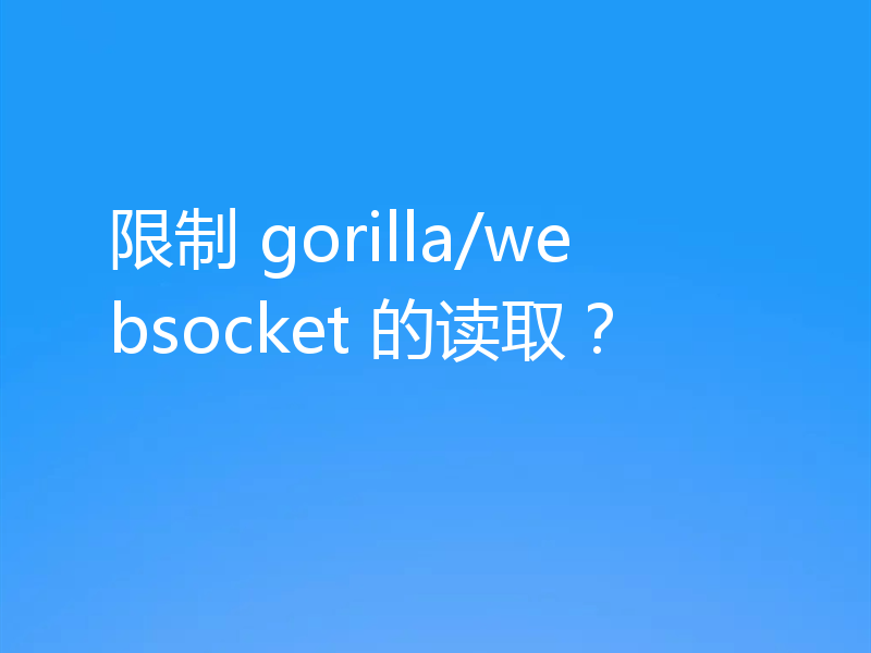 限制 gorilla/websocket 的读取？