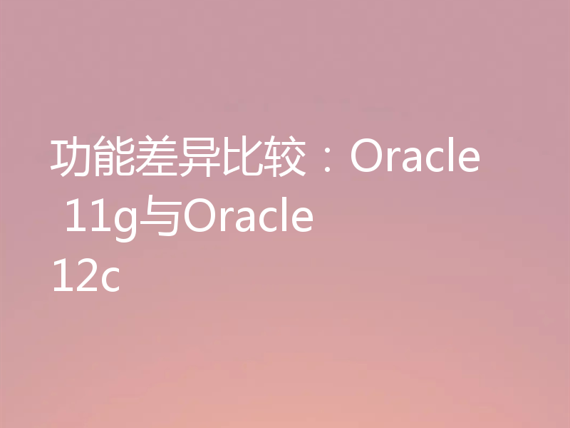 功能差异比较：Oracle 11g与Oracle 12c