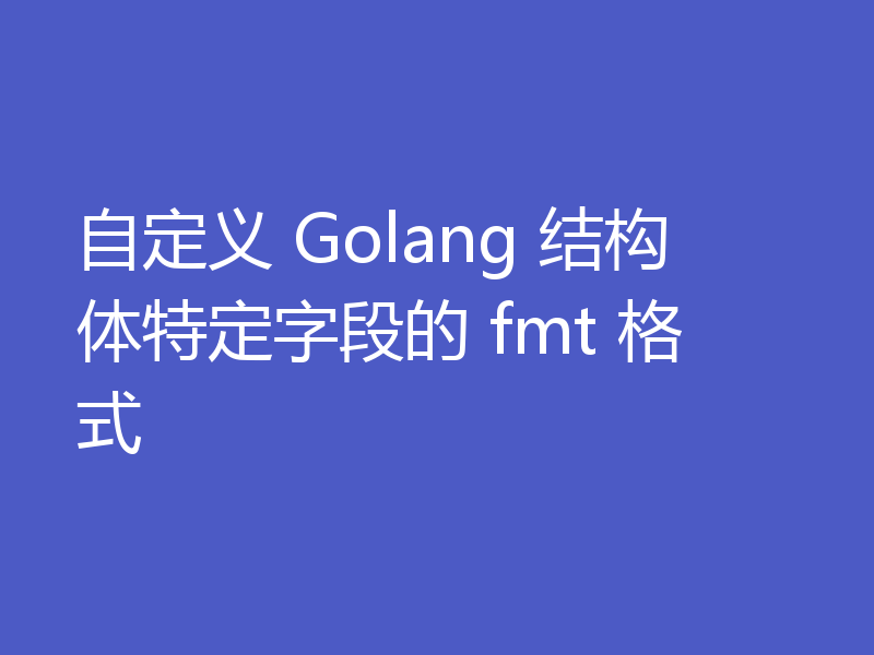 自定义 Golang 结构体特定字段的 fmt 格式