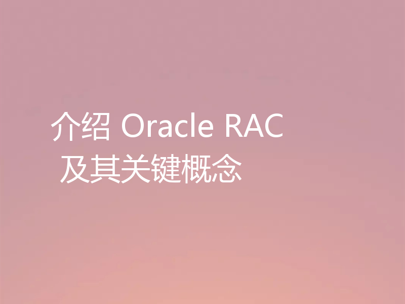 介绍 Oracle RAC 及其关键概念