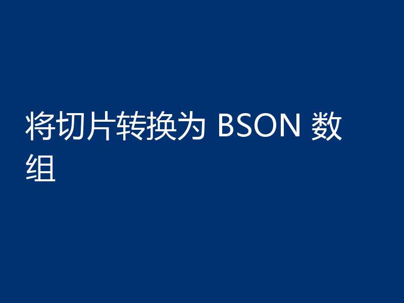 将切片转换为 BSON 数组
