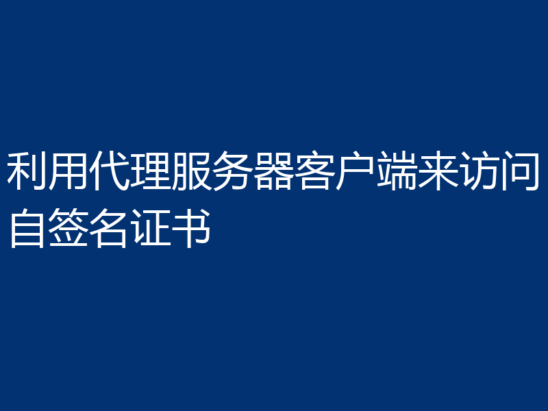 利用代理服务器客户端来访问自签名证书