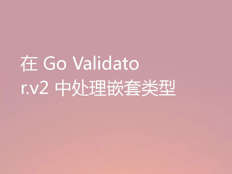 在 Go Validator.v2 中处理嵌套类型