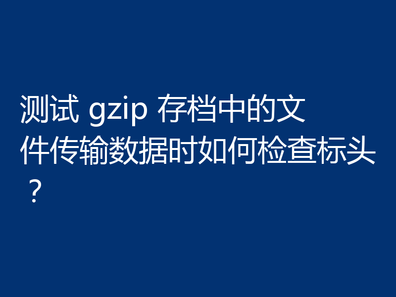 测试 gzip 存档中的文件传输数据时如何检查标头？