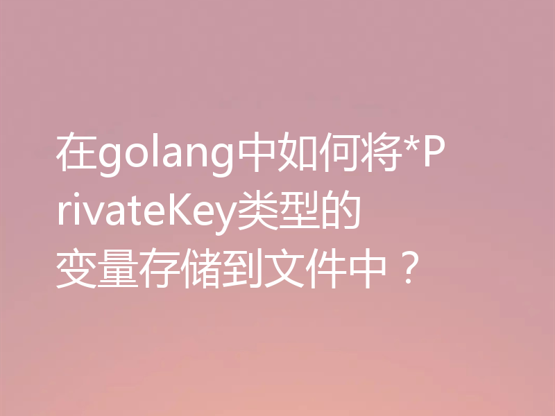 在golang中如何将*PrivateKey类型的变量存储到文件中？