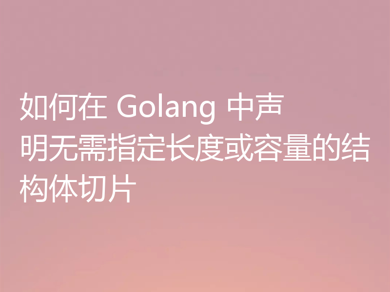 如何在 Golang 中声明无需指定长度或容量的结构体切片