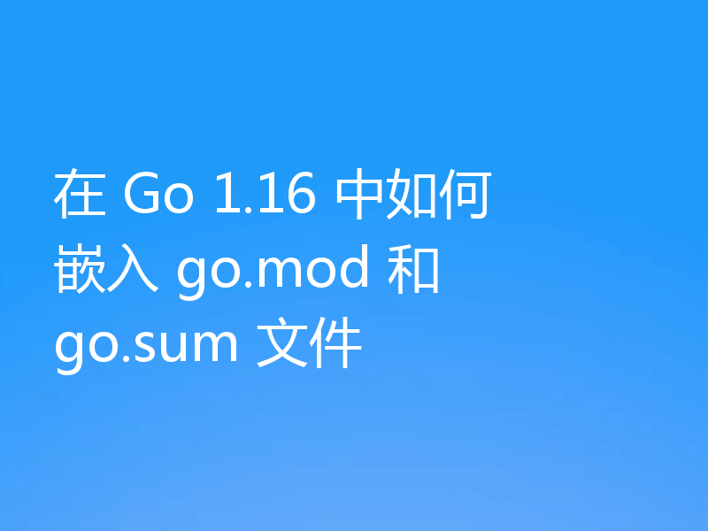 在 Go 1.16 中如何嵌入 go.mod 和 go.sum 文件