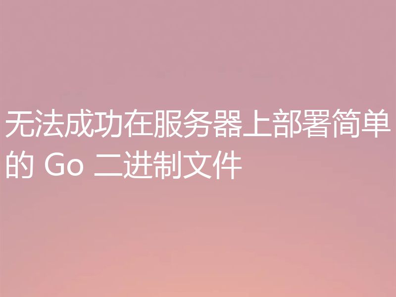 无法成功在服务器上部署简单的 Go 二进制文件