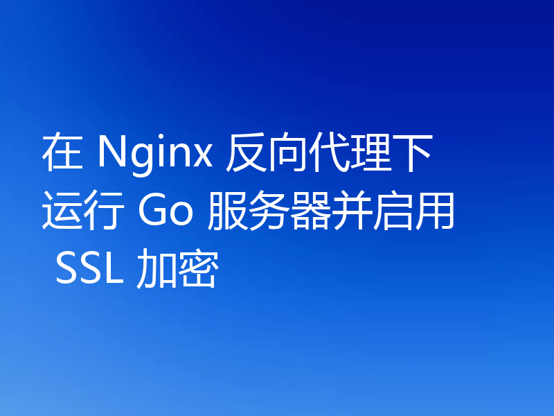 在 Nginx 反向代理下运行 Go 服务器并启用 SSL 加密