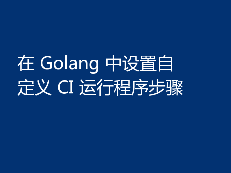 在 Golang 中设置自定义 CI 运行程序步骤