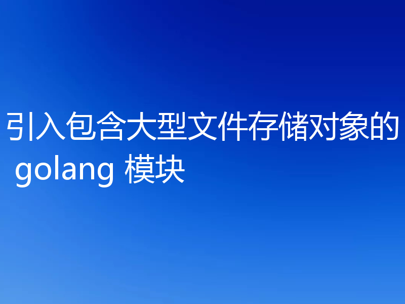 引入包含大型文件存储对象的 golang 模块