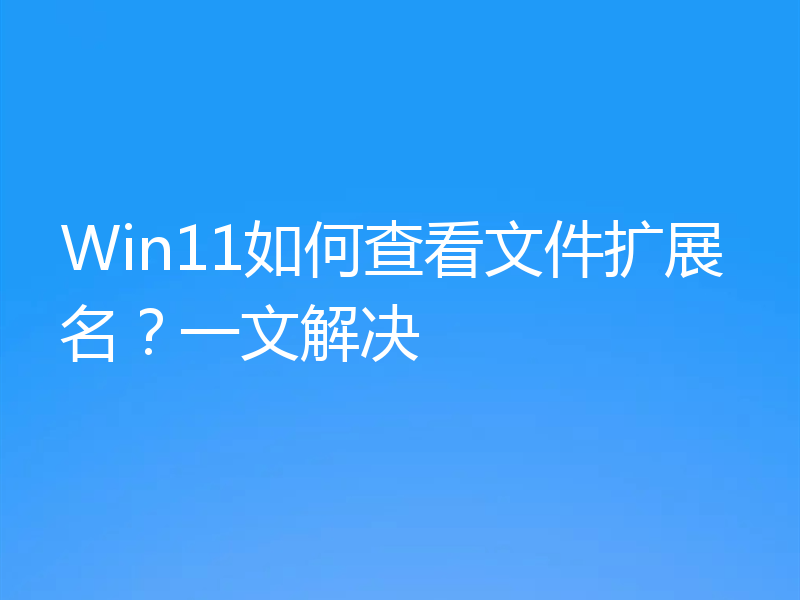 Win11如何查看文件扩展名？一文解决