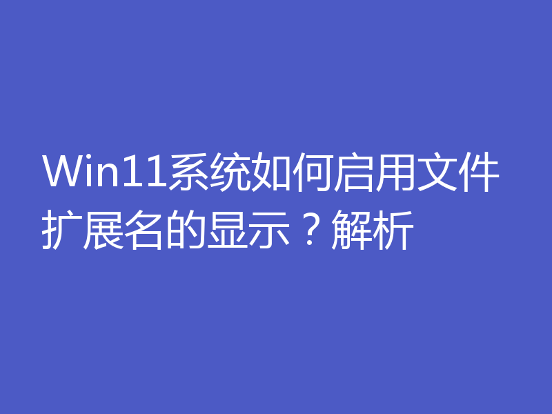 Win11系统如何启用文件扩展名的显示？解析