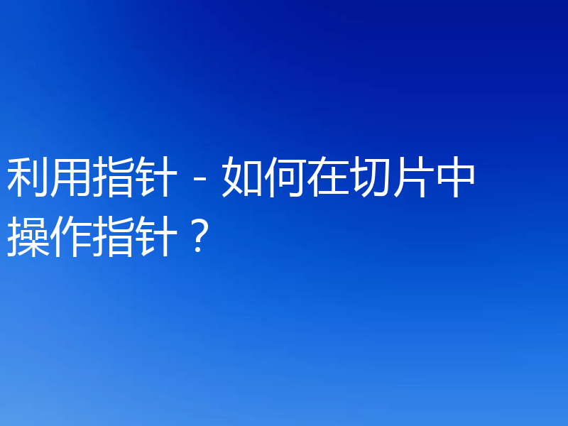 利用指针 - 如何在切片中操作指针？
