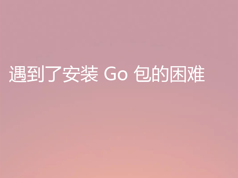 遇到了安装 Go 包的困难