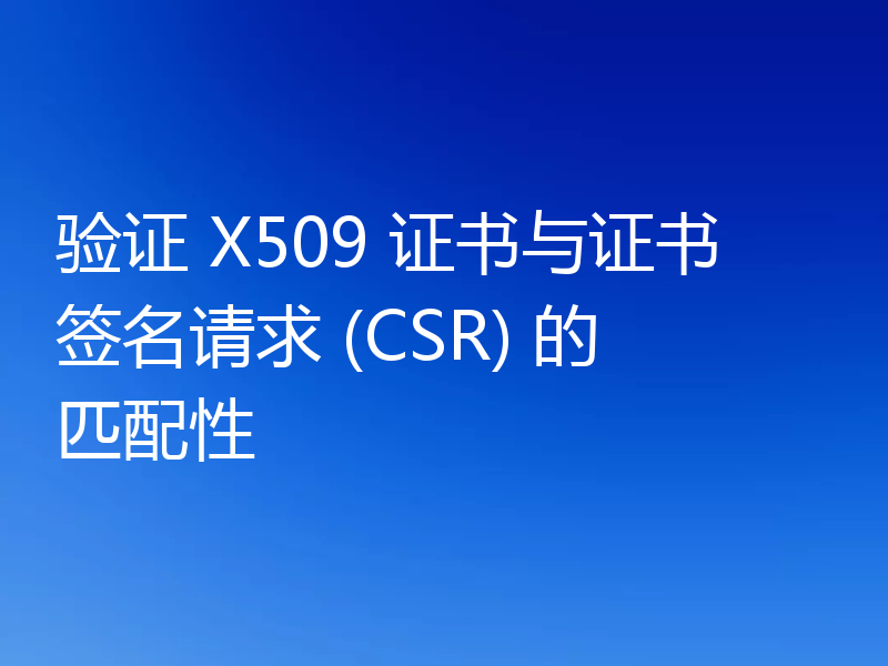 验证 X509 证书与证书签名请求 (CSR) 的匹配性