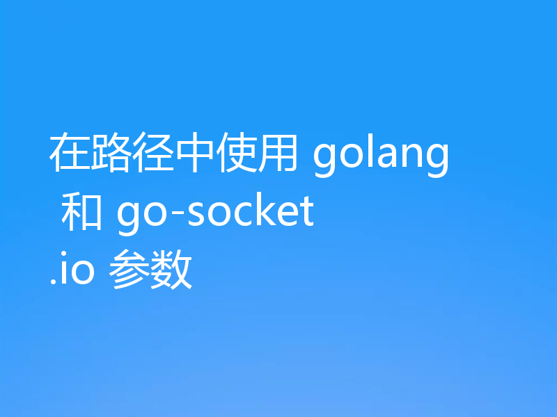 在路径中使用 golang 和 go-socket.io 参数