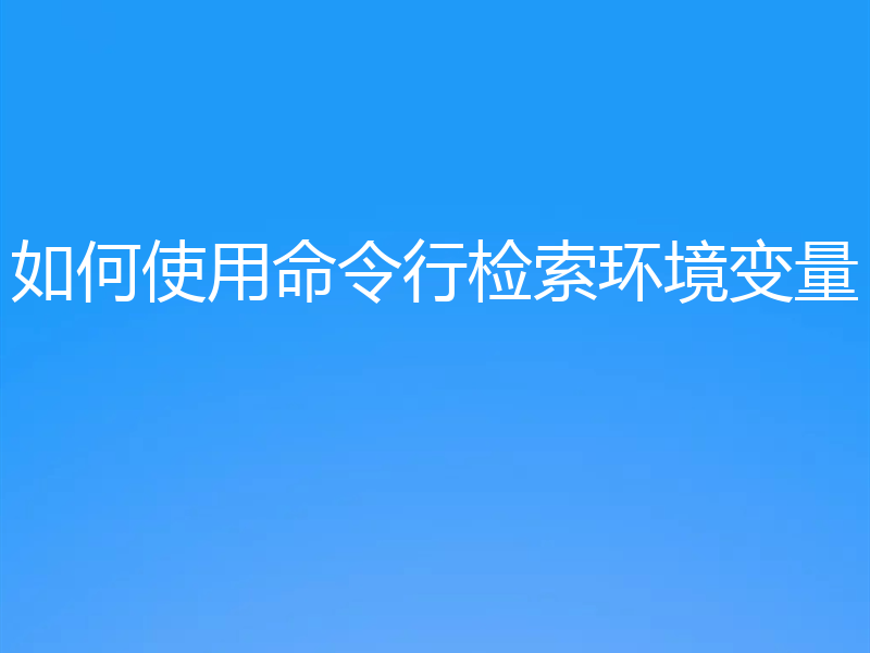 如何使用命令行检索环境变量