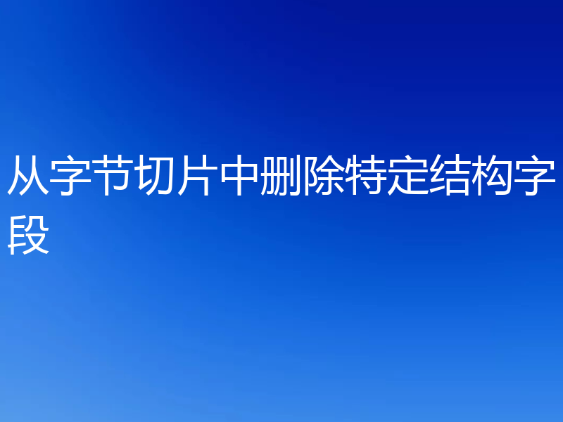 从字节切片中删除特定结构字段