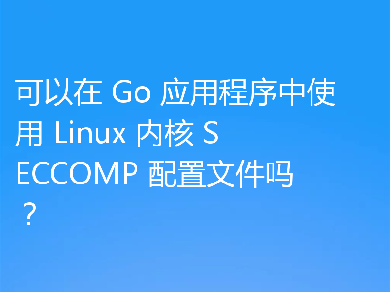 可以在 Go 应用程序中使用 Linux 内核 SECCOMP 配置文件吗？