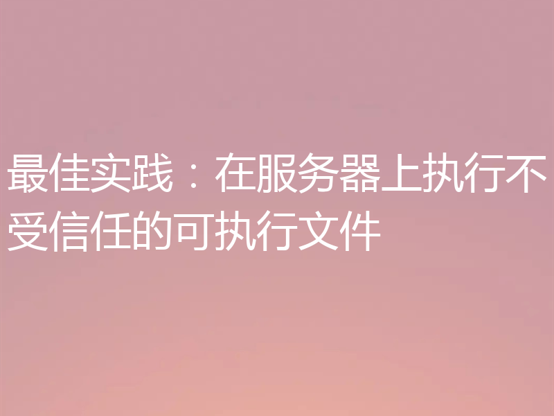 最佳实践：在服务器上执行不受信任的可执行文件