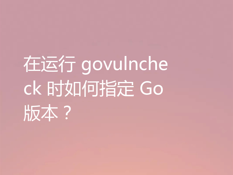 在运行 govulncheck 时如何指定 Go 版本？