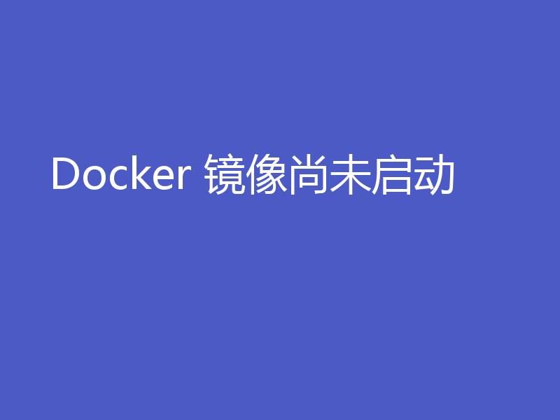 Docker 镜像尚未启动