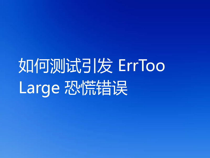 如何测试引发 ErrTooLarge 恐慌错误