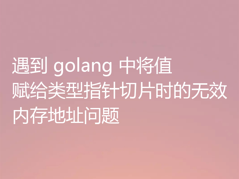 遇到 golang 中将值赋给类型指针切片时的无效内存地址问题