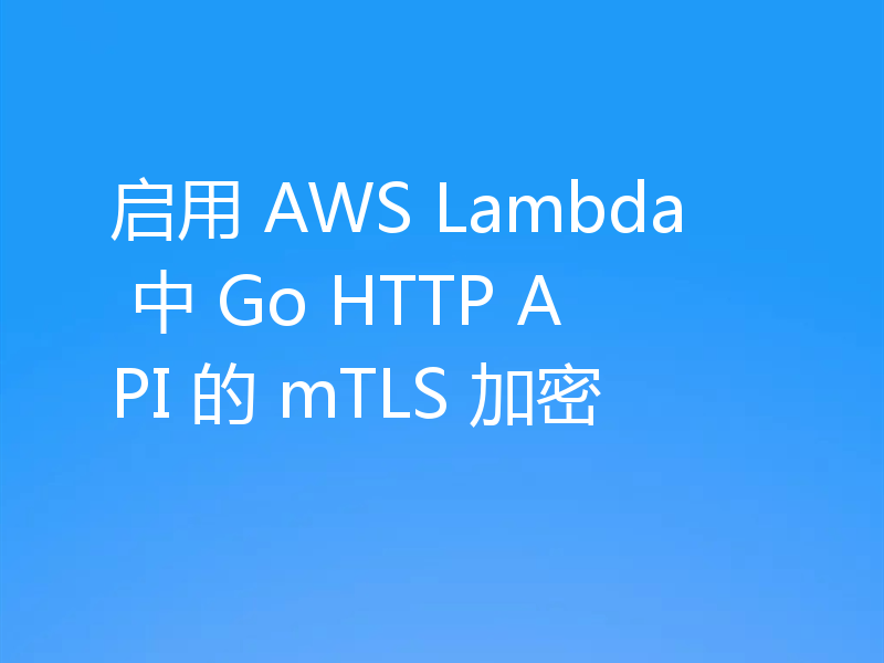 启用 AWS Lambda 中 Go HTTP API 的 mTLS 加密