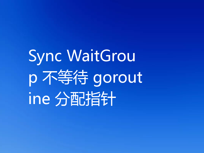 Sync WaitGroup 不等待 goroutine 分配指针