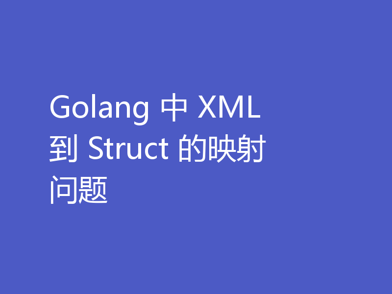 Golang 中 XML 到 Struct 的映射问题