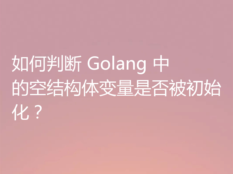 如何判断 Golang 中的空结构体变量是否被初始化？