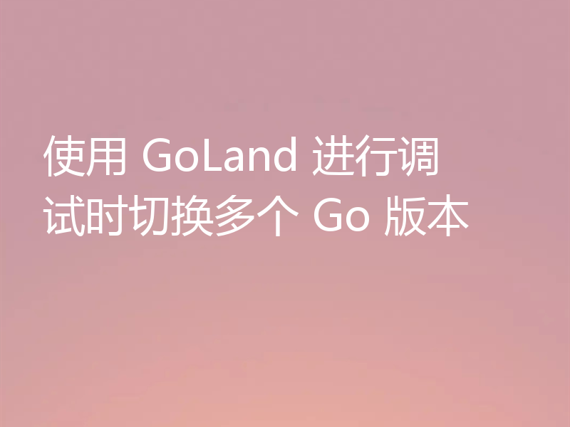 使用 GoLand 进行调试时切换多个 Go 版本