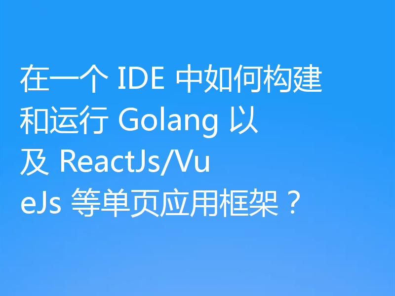 在一个 IDE 中如何构建和运行 Golang 以及 ReactJs/VueJs 等单页应用框架？