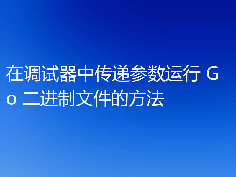 在调试器中传递参数运行 Go 二进制文件的方法