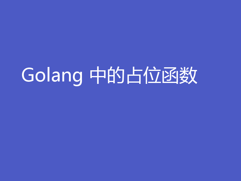 Golang 中的占位函数